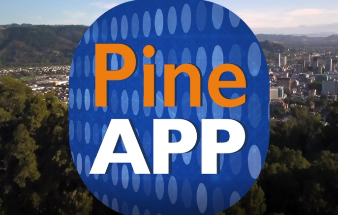 Nuestro Software   PineAPP